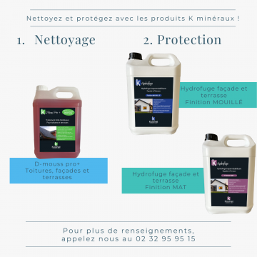 ANTI MOUSSE PRO CONCENTRE TOITURE, TERRASSE, TRAITE JUSQU'A 500M² - BIDON 5L