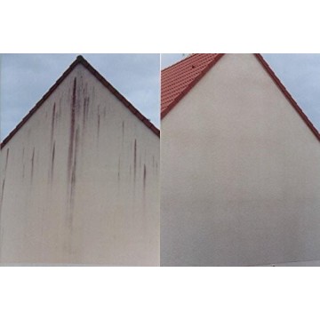 Anti-mousse toiture et façade - Offre spéciale : 1 + pulvérisateur