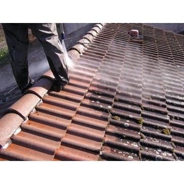Le traitement anti-mousse de toiture pour façade et terrasse 