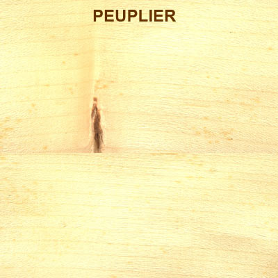 Peuplier