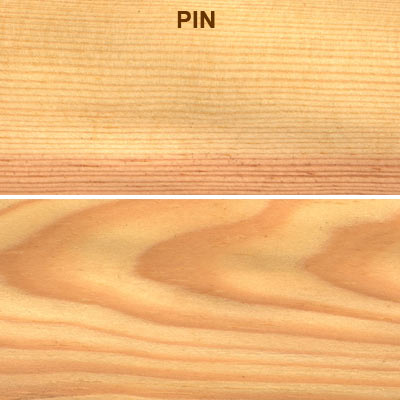 Pin